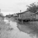 Finn Slough, Eastern end.  by cdcook48