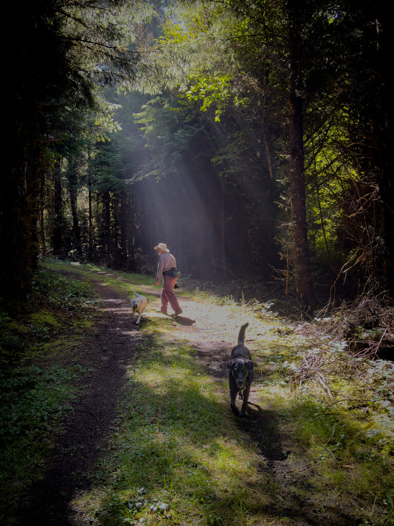 Light Rays on the Trail by jgpittenger