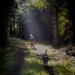 Light Rays on the Trail by jgpittenger