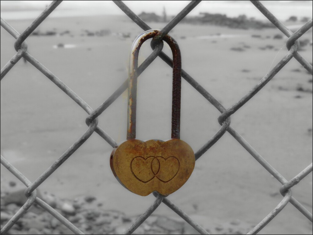 Love Lock at Ellis Beach by olivetreeann