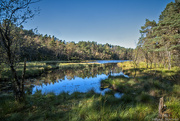 27th Sep 2024 - Small lake