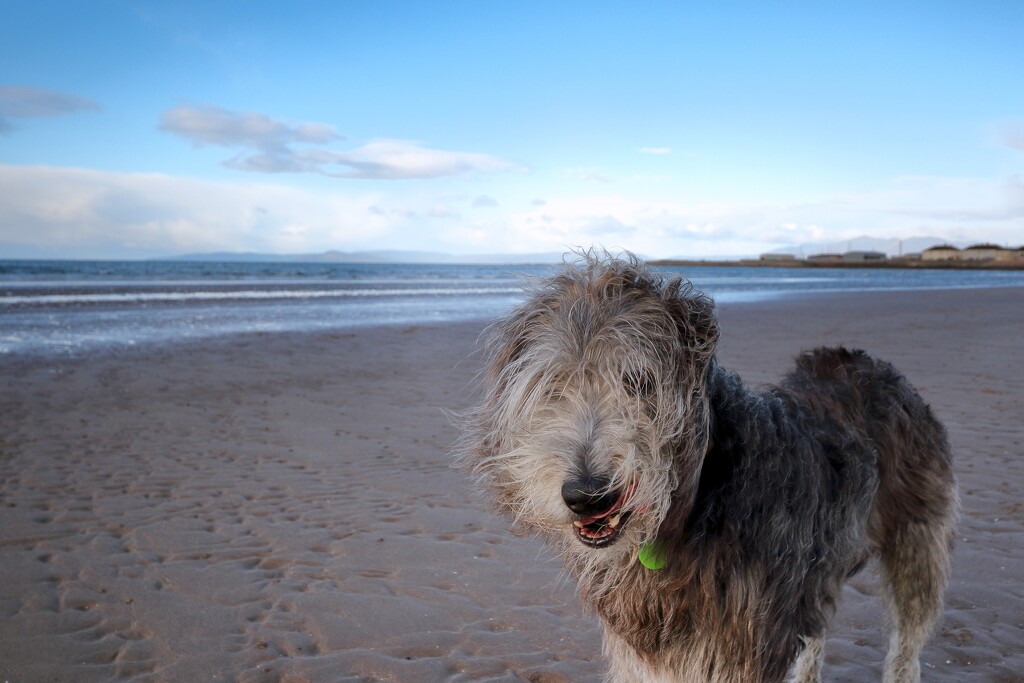 Beach by killeen