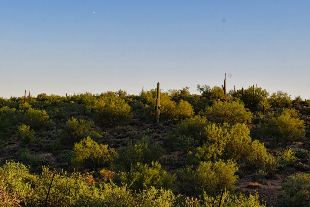 9 26 Morning Light Tonto NF by sandlily