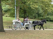 27th Sep 2024 - A carriage ride in Central Park