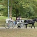 A carriage ride in Central Park