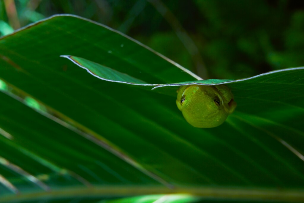 Hanging Out by photohoot