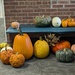 Pumpkin Display