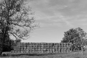 26th Sep 2024 - Hay! A wall