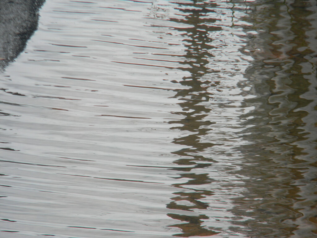 Ripples of Mud in Parking Lot  by sfeldphotos