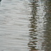 Ripples of Mud in Parking Lot 