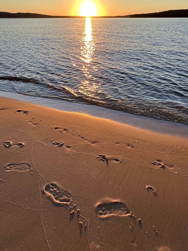 on the beach by amyk