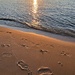 on the beach