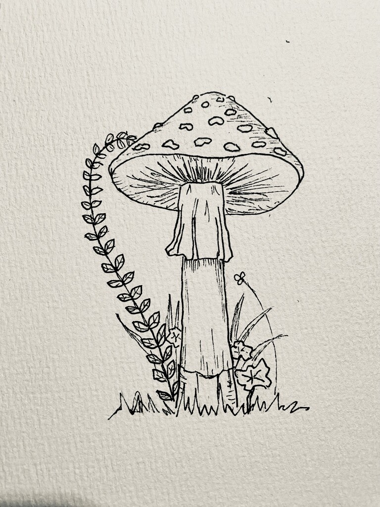 Mushroom ink drawing by mtb24