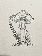 27th Sep 2024 - Mushroom ink drawing