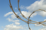 27th Sep 2024 - Razor Wire