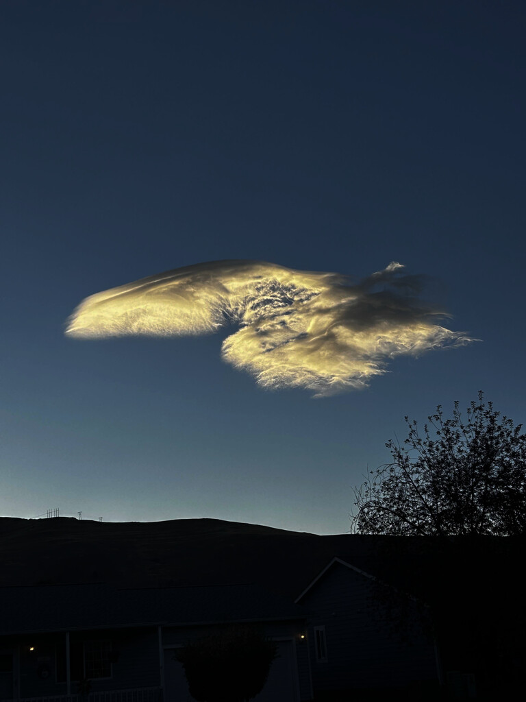 Cool Cloud by colewallace