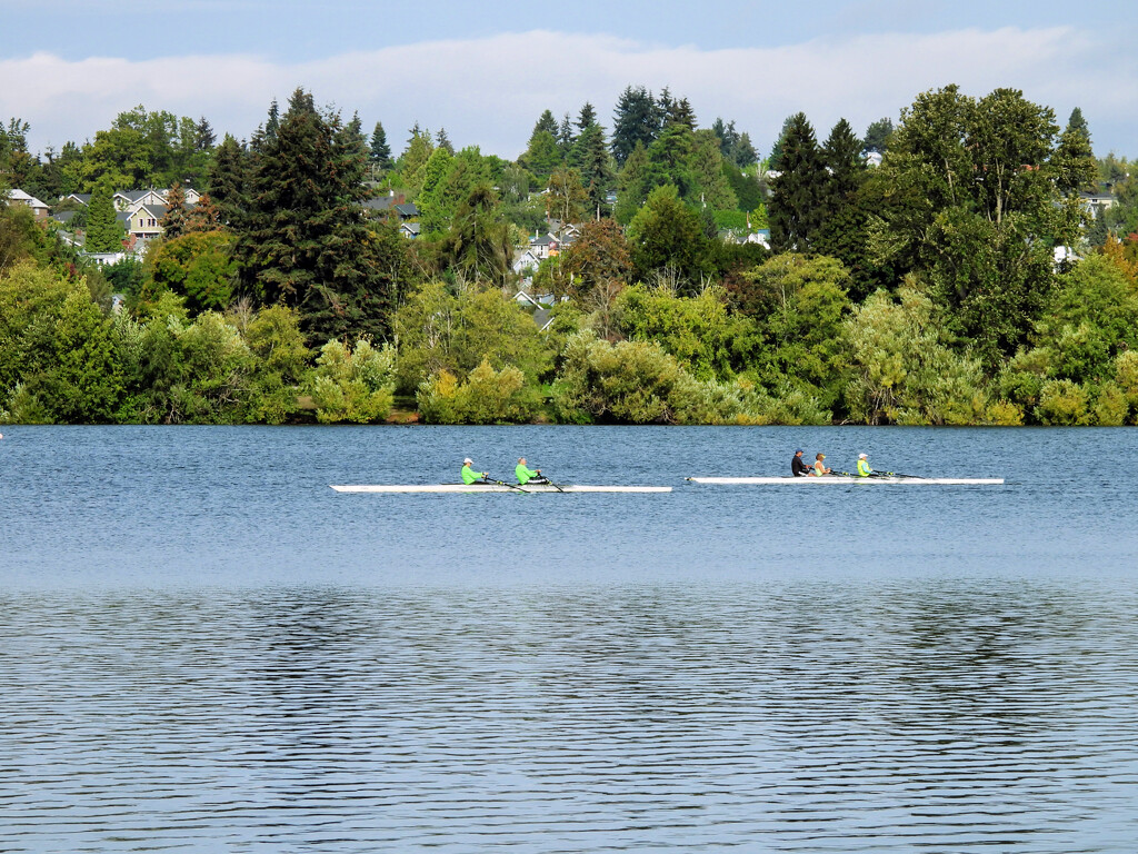 Green Lake Rowers by seattlite