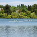 Green Lake Rowers