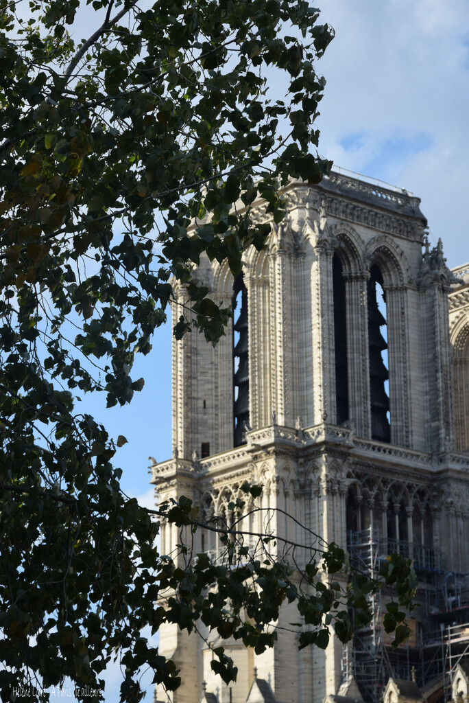 Notre Dame by parisouailleurs