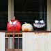 Comic Book Character Pumpkins