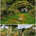 Monet's Giverny 