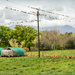 Chicken housing on the farm