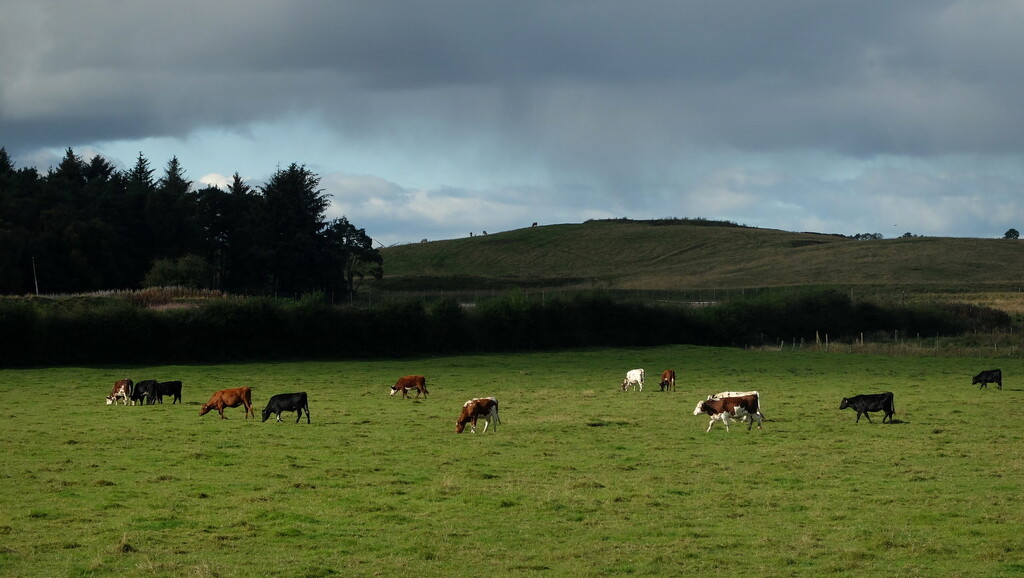 lanarkshire by minsky365