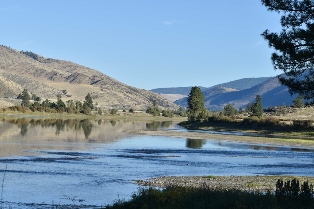 Flathead River View by bjywamer