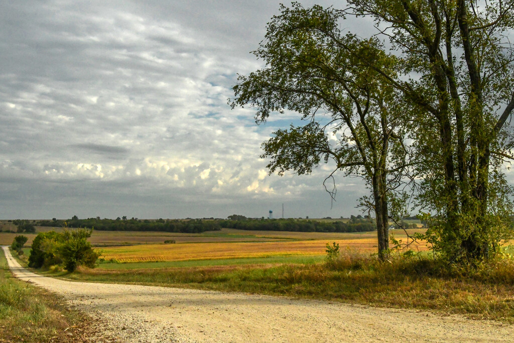 The Subtle Beauty of Kansas by kareenking