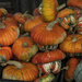 Gourds