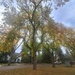 Autumn in Glenora 