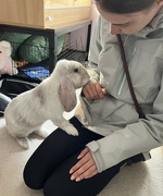 25th Aug 2024 - Evie with Sunny the bunny....