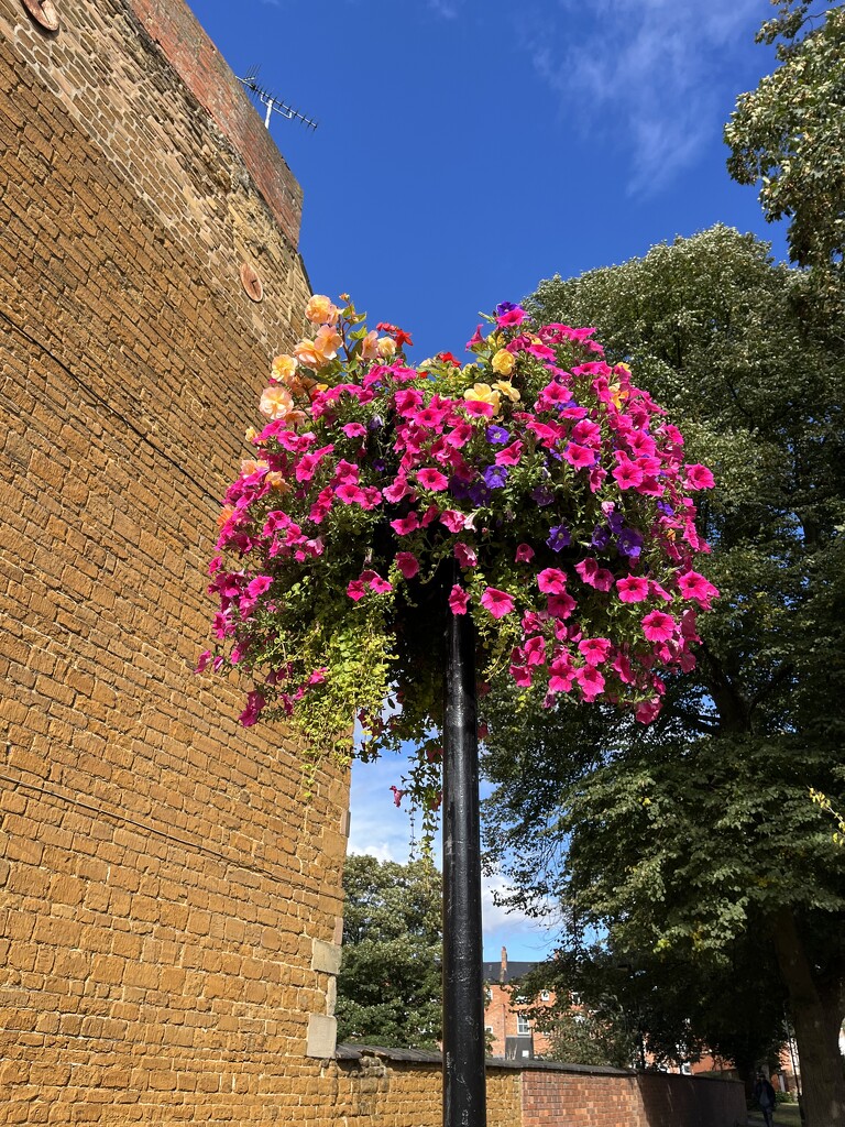 Blooming in St Giles Churchyard..... by anne2013