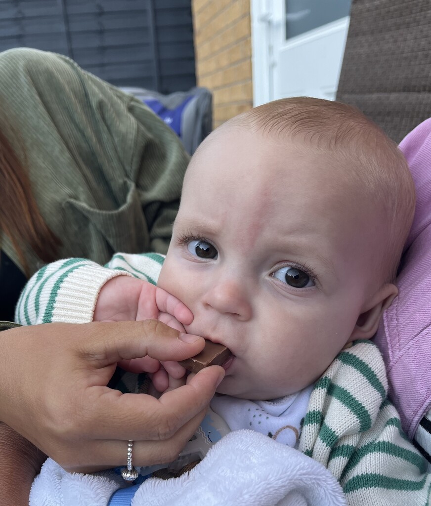 First taste of chocolate!! by anne2013