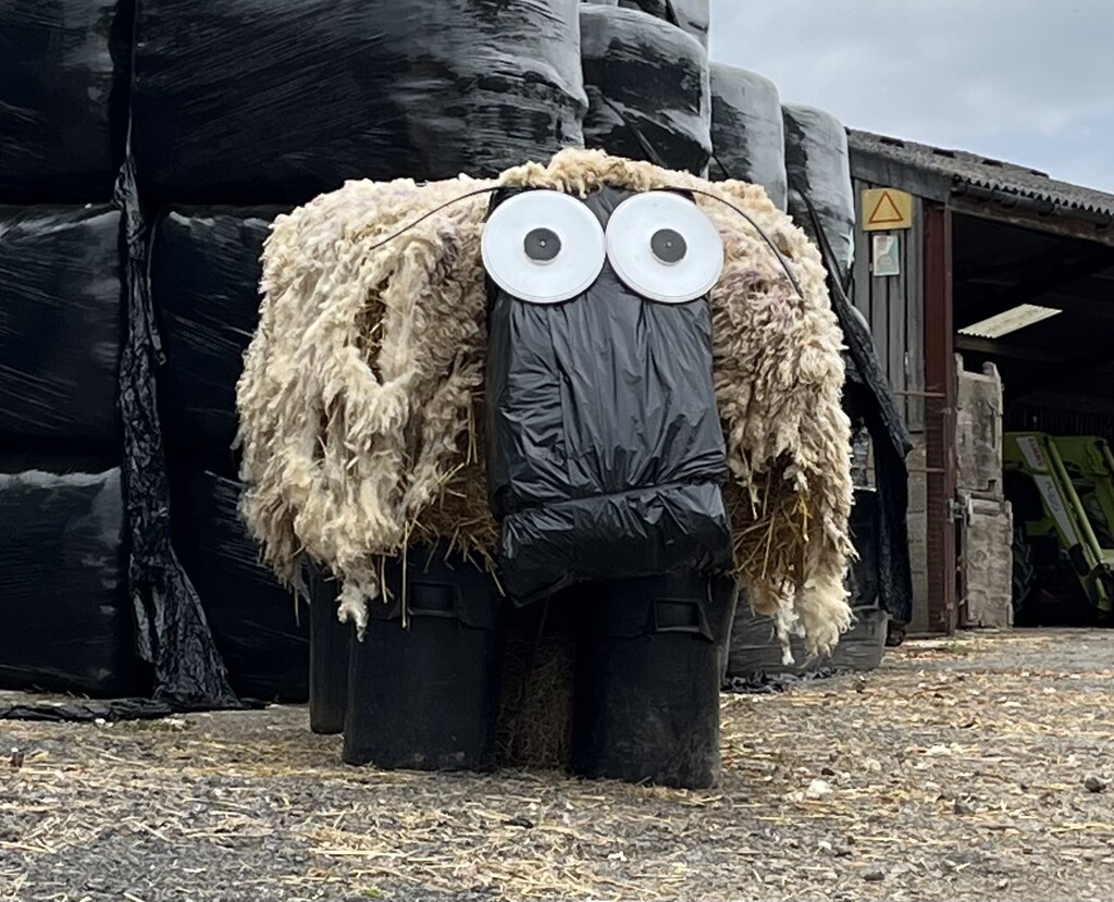 Harpole scarecrow festival.... by anne2013