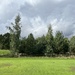 Storm clouds...