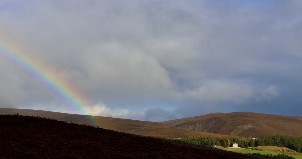 Birse Castle in the Sun by jamibann