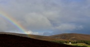 29th Sep 2024 - Birse Castle in the Sun