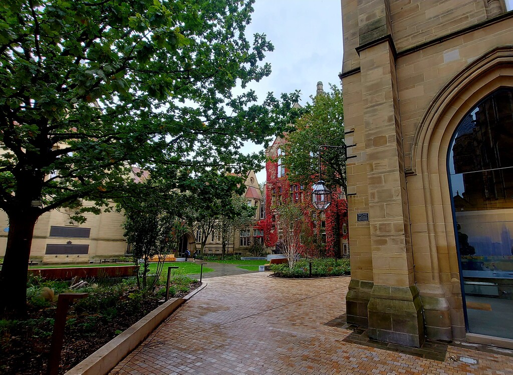 The Old Quad, Manchester University  by antmcg69