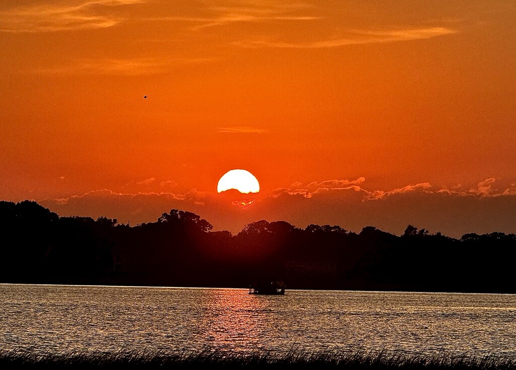 Ashley River sunset by congaree