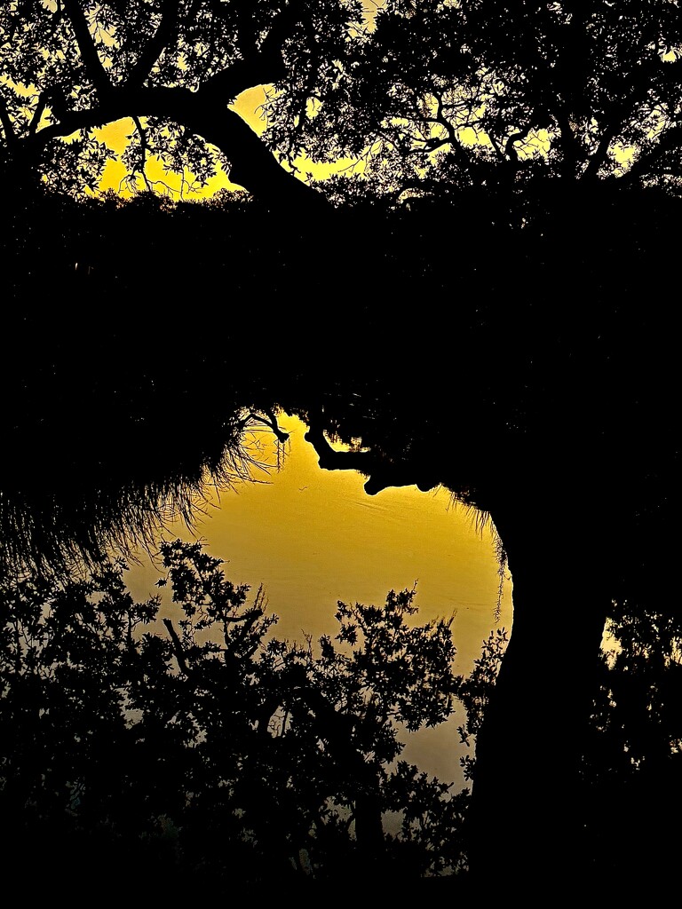 Tidal creek, right after sunset by congaree