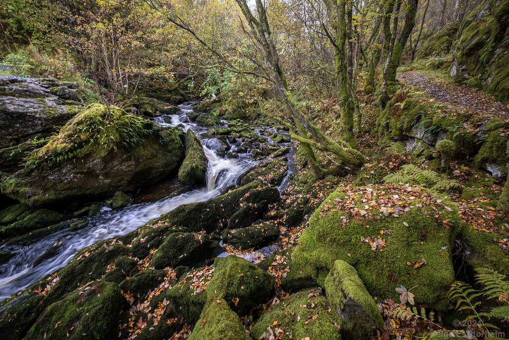 Path along the river by helstor365