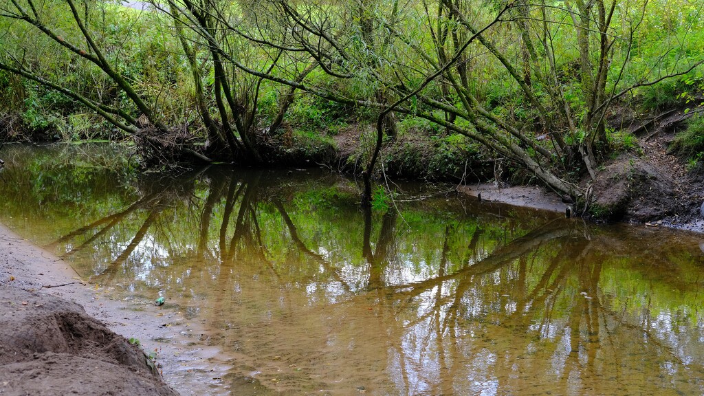 Savick Brook by kametty