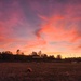 Sunset at Amazon Dog Park in Eugene Oregon