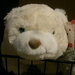 Polar Bear Stuffed Animal 