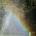 Running in a rainbow 