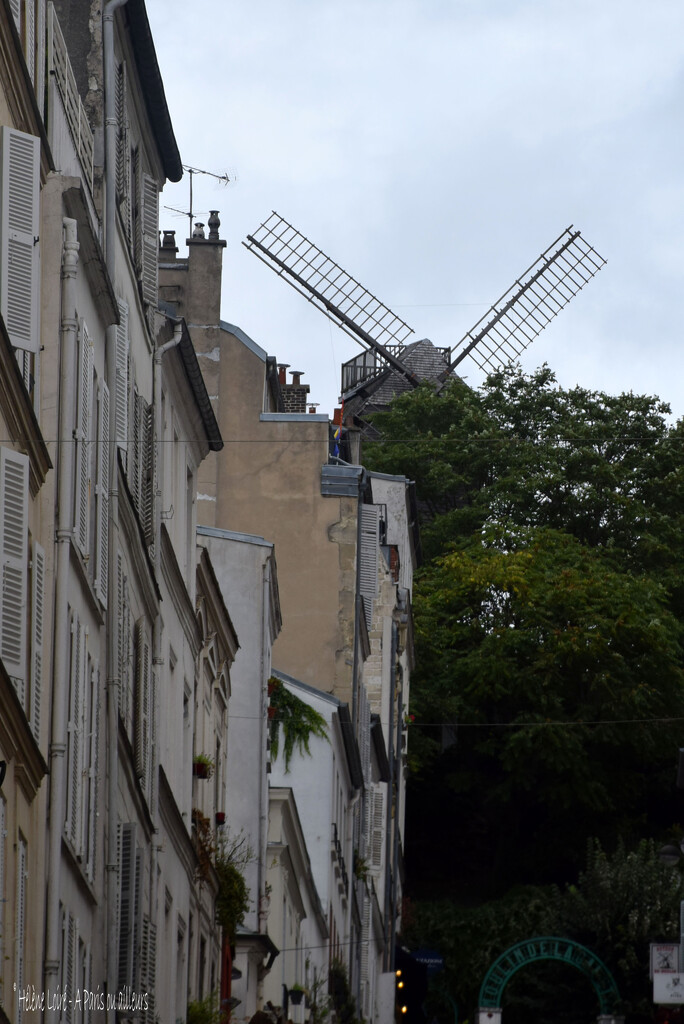 moulin de la Galette by parisouailleurs