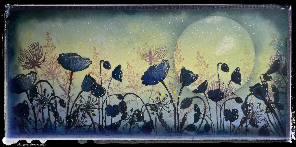 Moonlight poppies by craftymeg