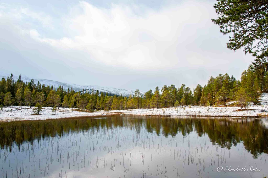 Norwegian nature by elisasaeter