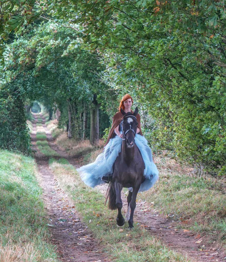 Darcie and Gracie in the Woods by phil_howcroft